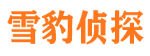 济阳市调查取证